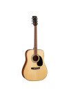 CORT Standard Series Acoustic Guitar AD880NS front
