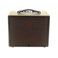 AGA Acoustic Combo 100w  SC100