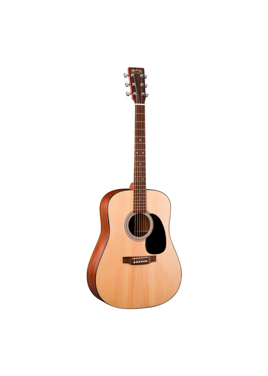 MARTIN Western guitar w case D1GT PVXmusic
